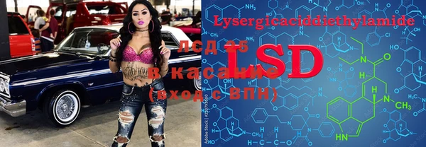 не бодяженный Гусев