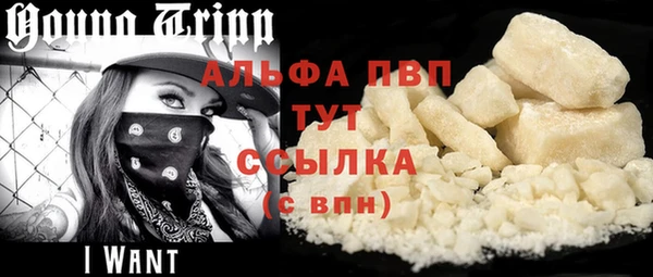 стаф Новодвинск
