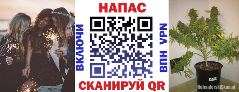 магазин продажи наркотиков  Лодейное Поле  Канабис THC 21% 